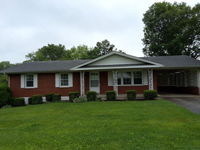 Primary Photo - Beautiful 3 Bed, 2 Bath with walk out fini...