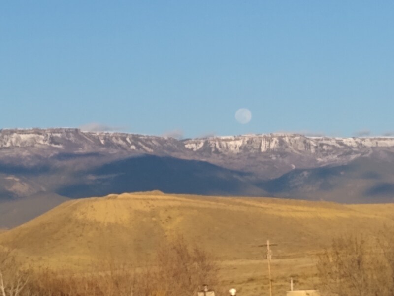 Building Photo - 109 Anna Ct