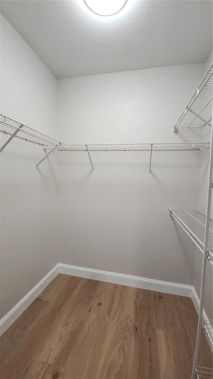 Building Photo - 5813 Legacy Crescent Pl