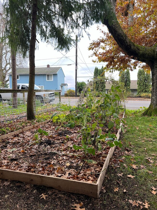 Raised bed garden - 3002 E McLoughlin Blvd