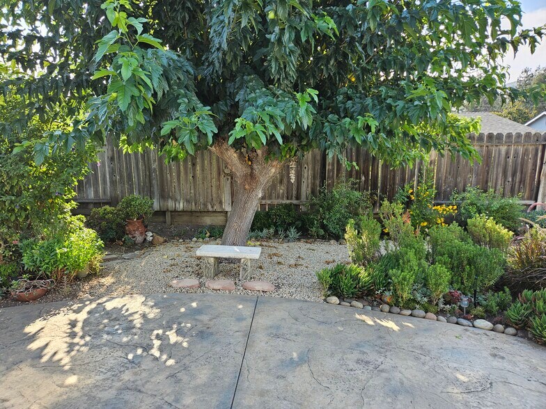 Backyard - 328 Burning Tree Dr