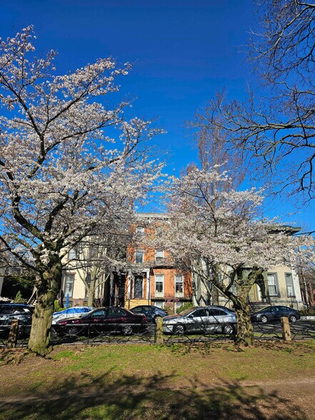 Building Photo - 40 Academy St