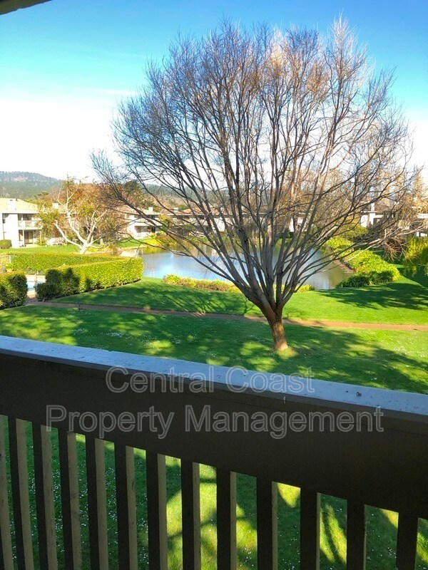 Building Photo - 3850 Rio Rd