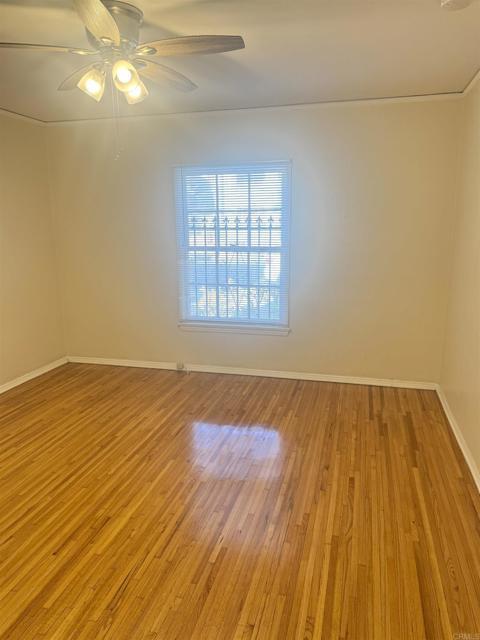 Building Photo - 349 Hayworth Ave