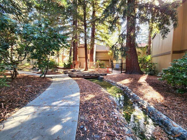 Building Photo - Charming 2BR/2BA Condo Steps from Downtown Mountain View