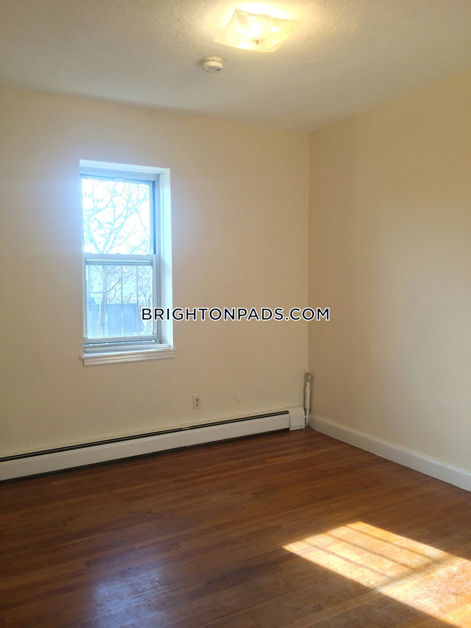 Building Photo - 164 N Beacon St