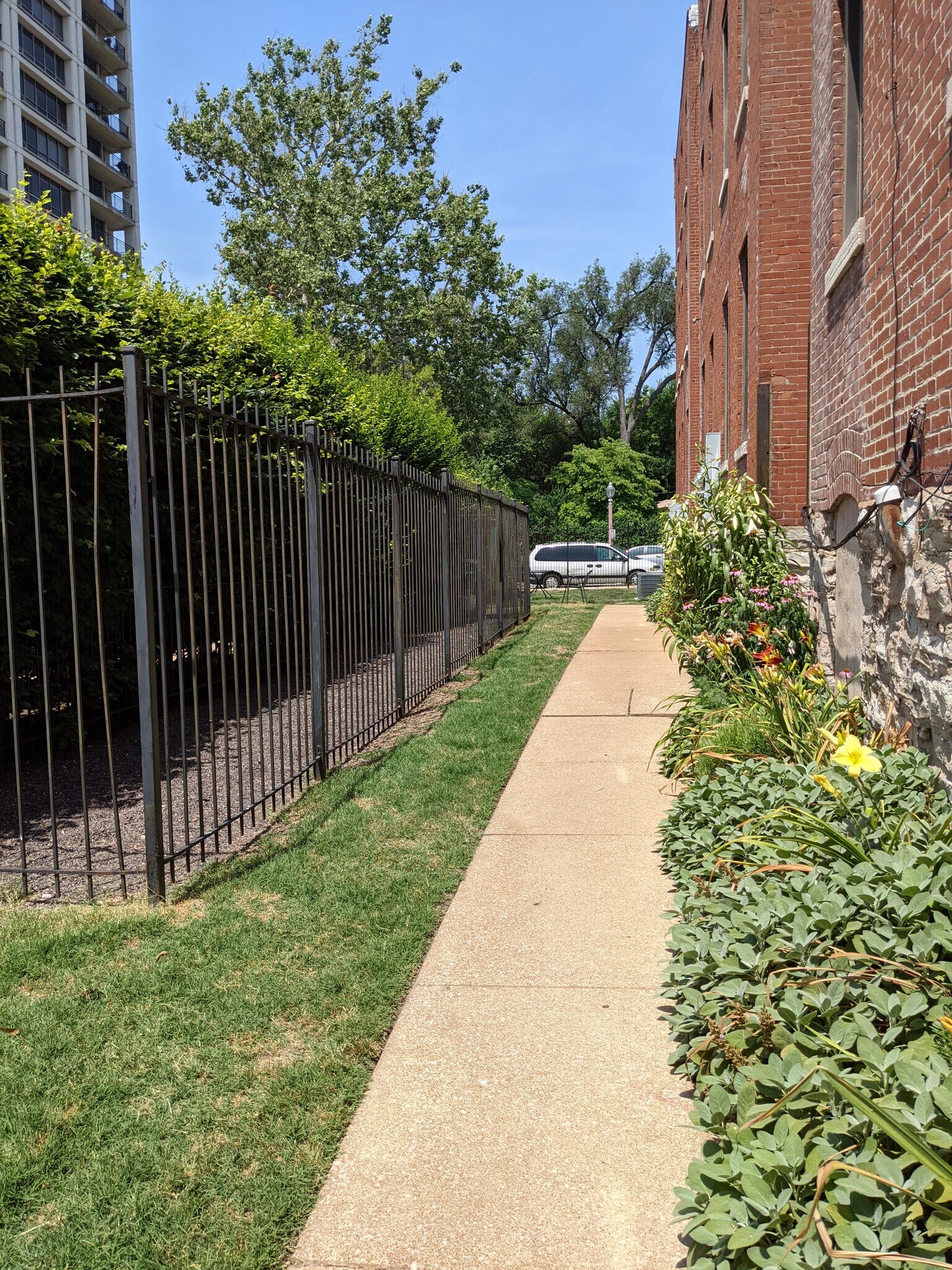Looking back towards condo from parking area - 4496 Maryland Ave