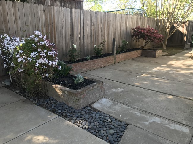 rear patio, too - 3731 San Ysidro Way