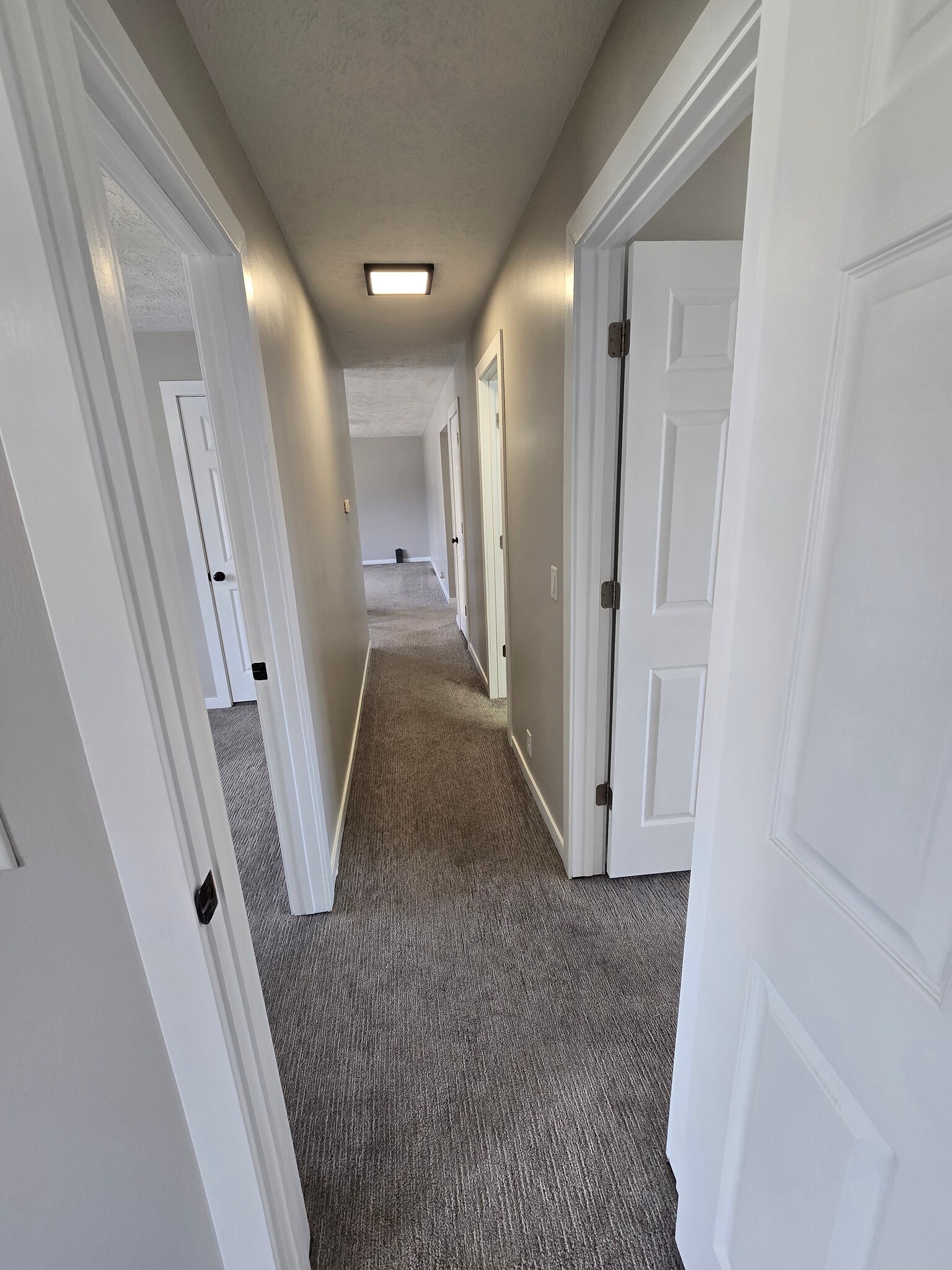 Hallway - 4923 Robin Drive