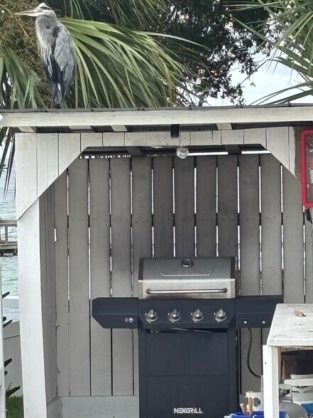 Grilling area - 151 Calhoun Ave