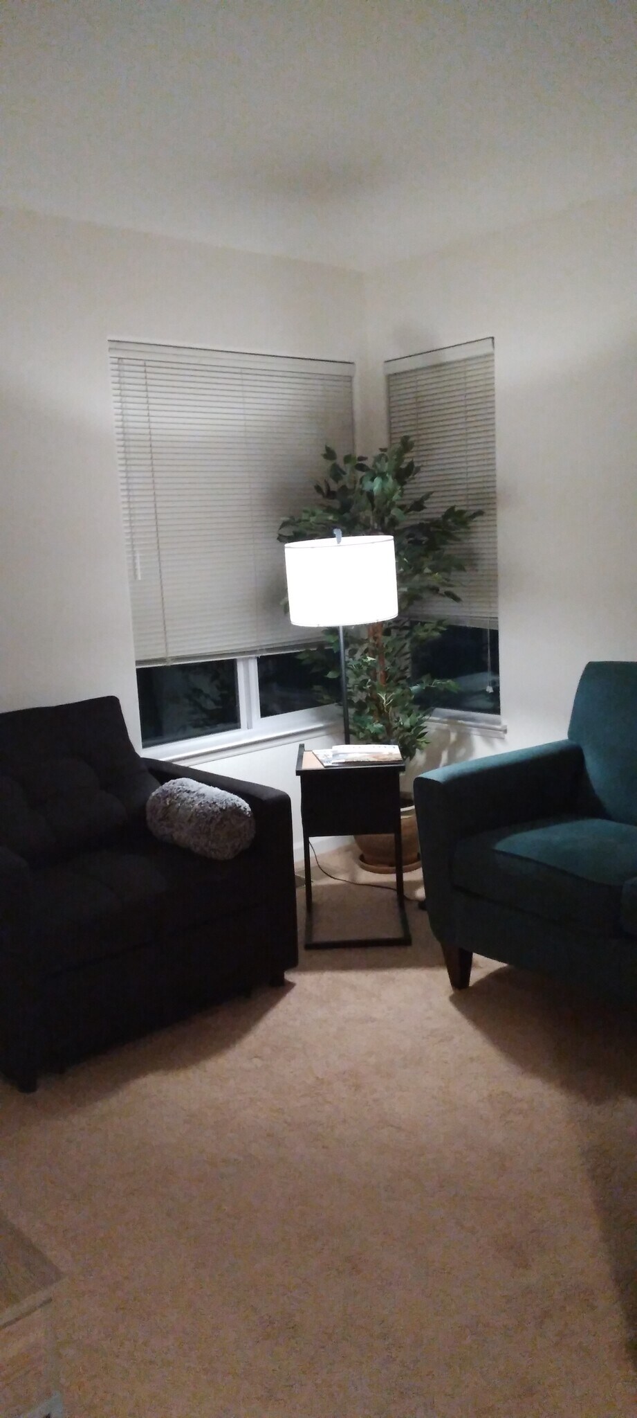 Livingroom Chair and Sofa - 418 Riesling St