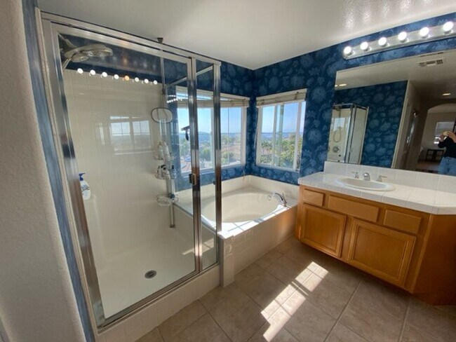 Building Photo - Great 4 Bd/3Bth in the San Marcos Santa Fe...
