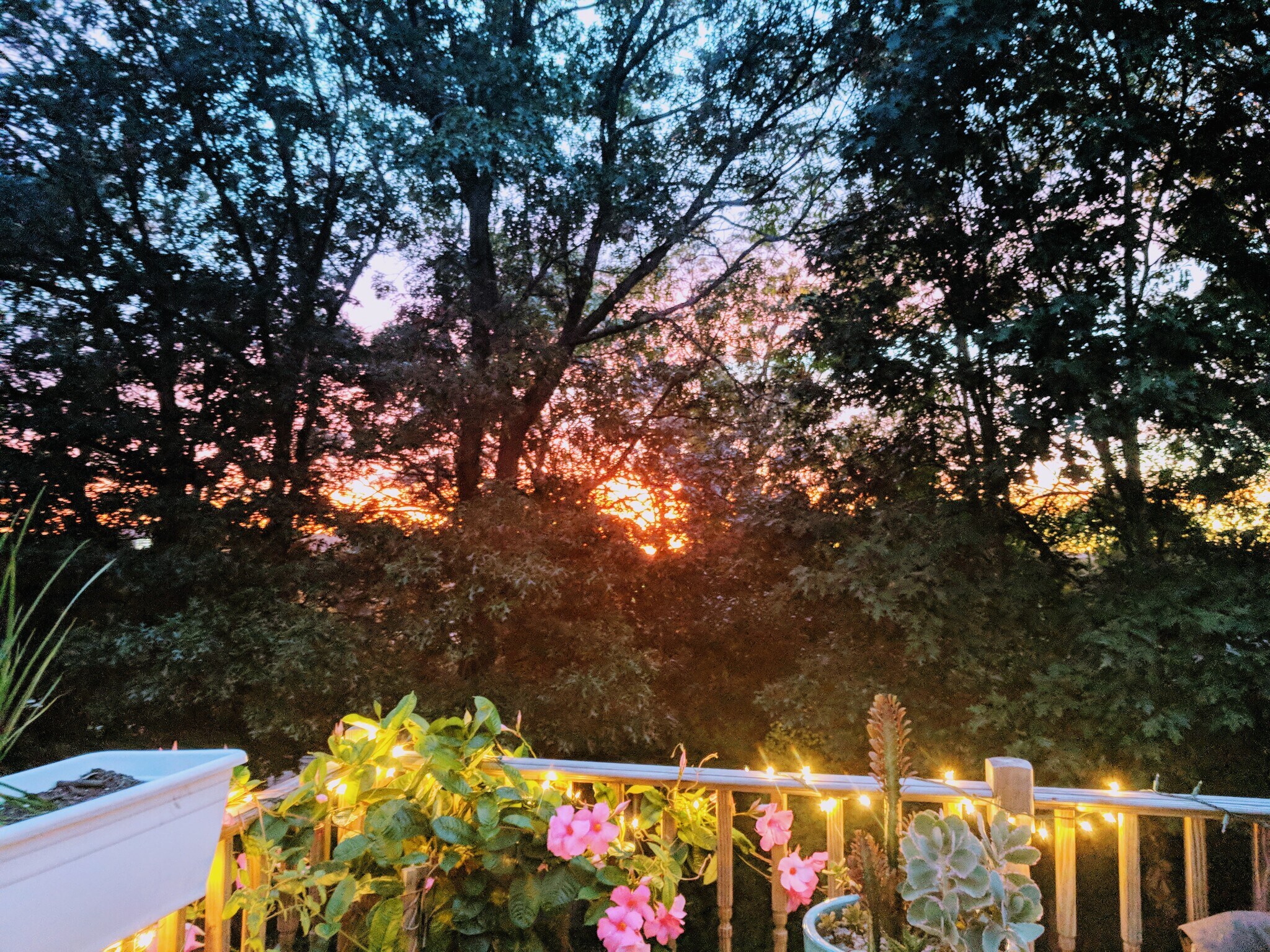 Beautiful Sunsets - 25 Pinehurst Rd