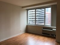 Building Photo - Nice one bedroom in Streeterville