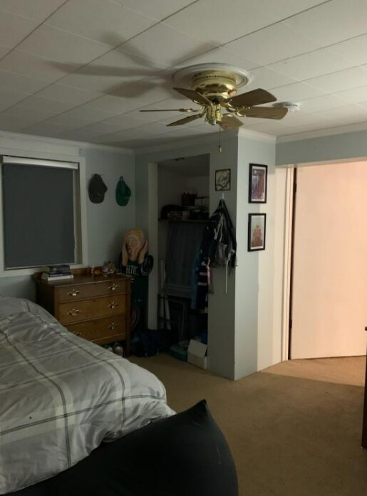 Building Photo - 8802 36th Ave