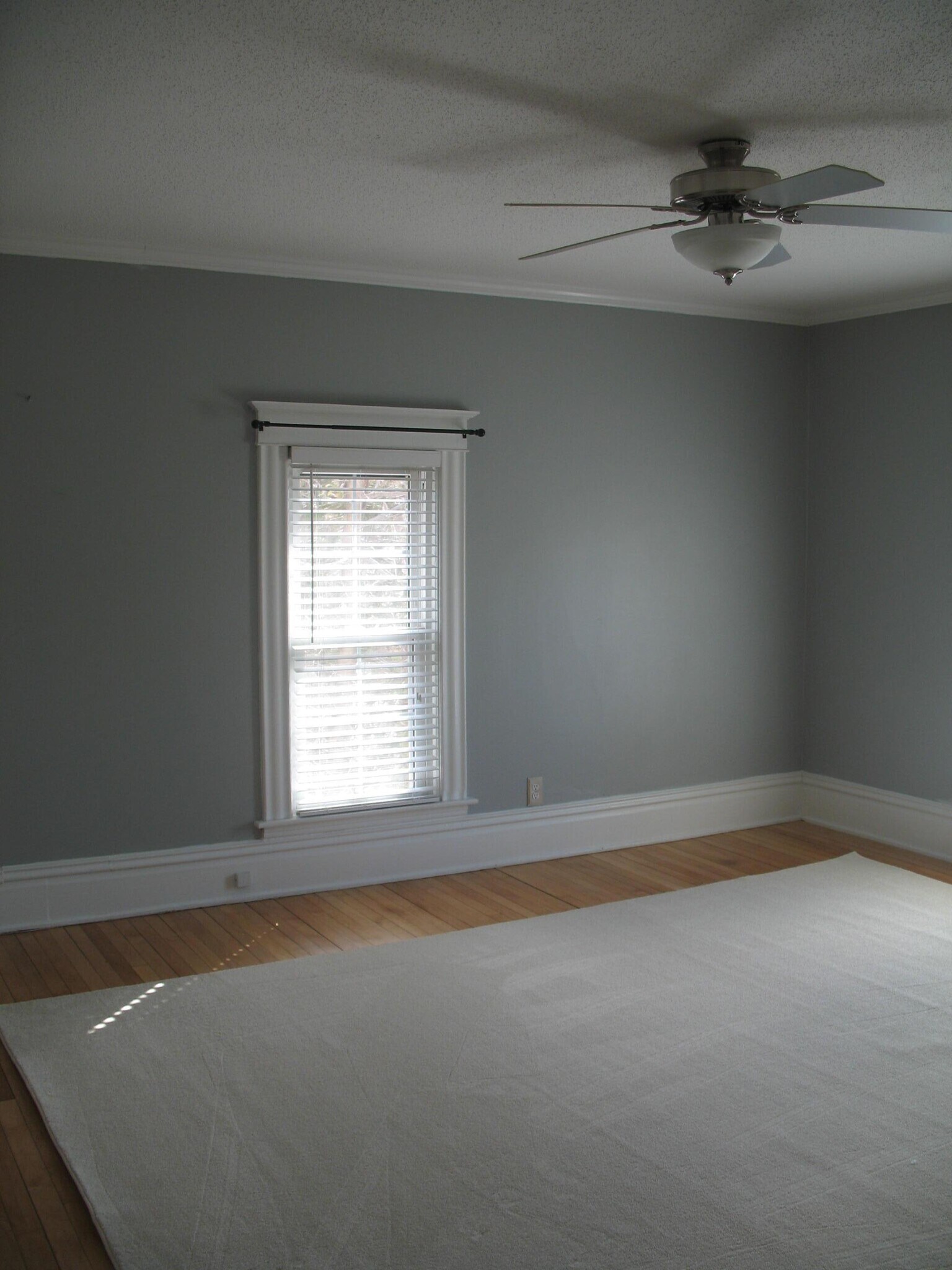 Building Photo - 209 Garland St E