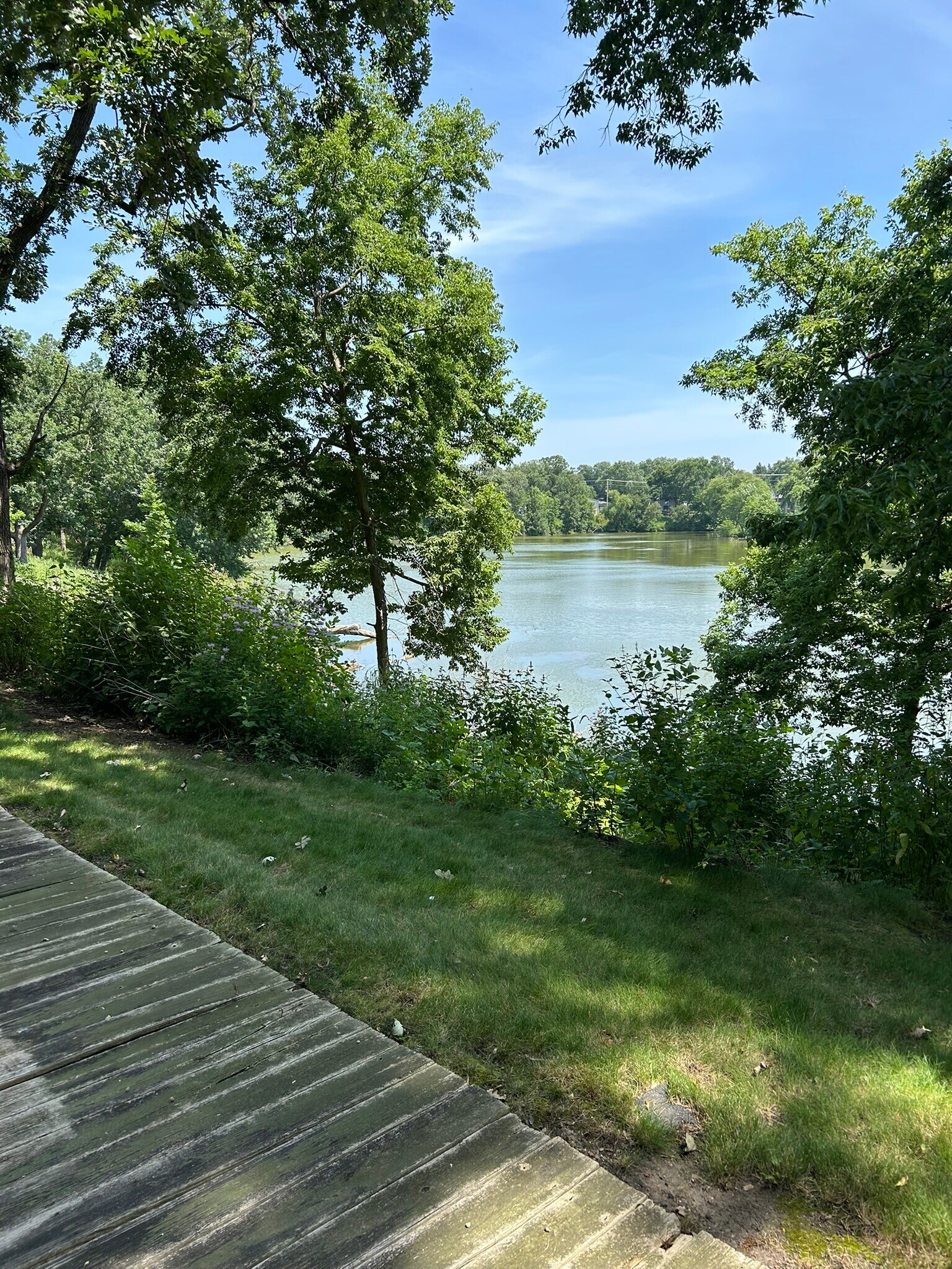 View from the backyard patio - 2706 Mackubin St