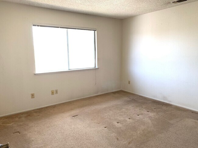 Building Photo - 1441001/60