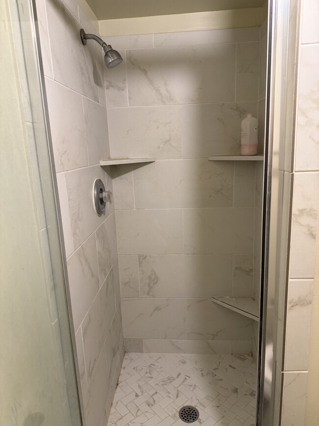 Shower - 2411 Lily Langtree Ct