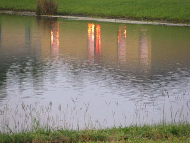 Building Photo - 3905 Flowering Orchid Ln