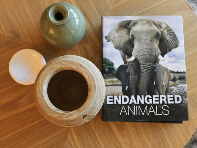 Building Photo - 322 Timber Lake Dr