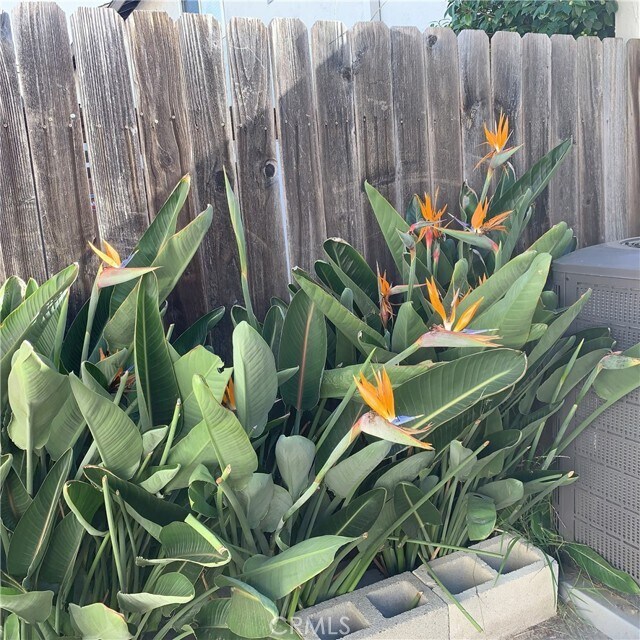 Building Photo - 21812 Stonepine Dr