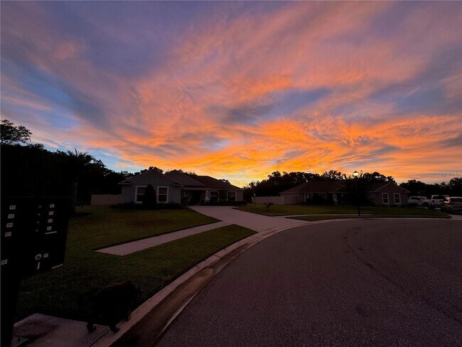 Building Photo - 244 Whispering Oaks Way