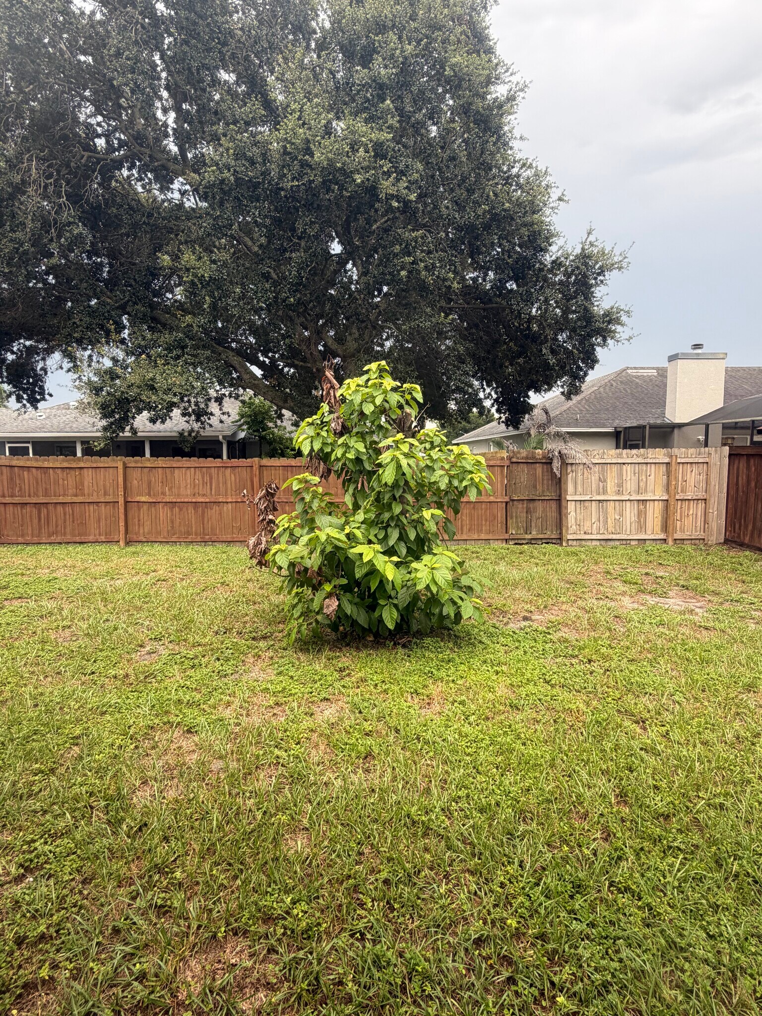 Building Photo - 1547 Spring Ridge Cir
