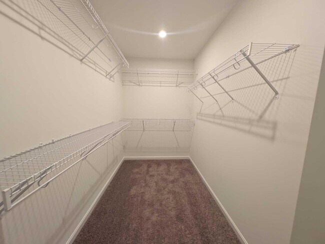 Building Photo - 8246 Woodstar Dr