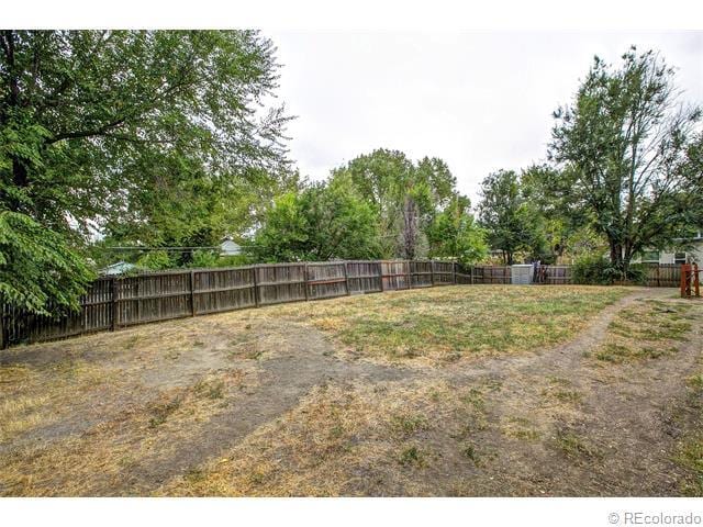 Backyard - 770 Loveland Street