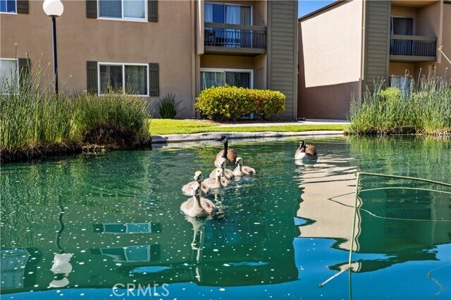 Building Photo - 24518 W Nicklaus Dr