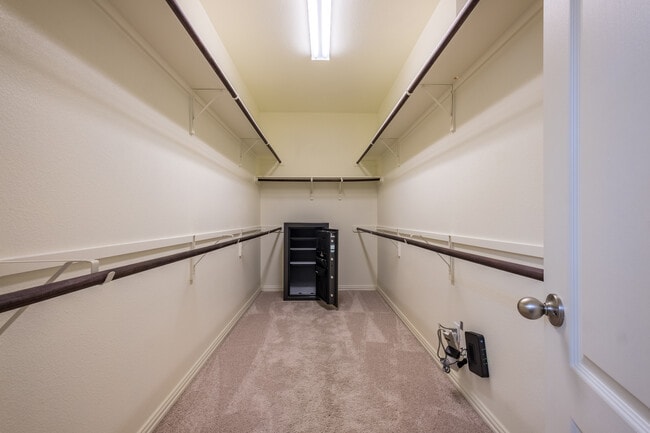 Building Photo - 4 Bedroom, 3 Bath, Single-Story Home in Parkside at Mayfield Ranch