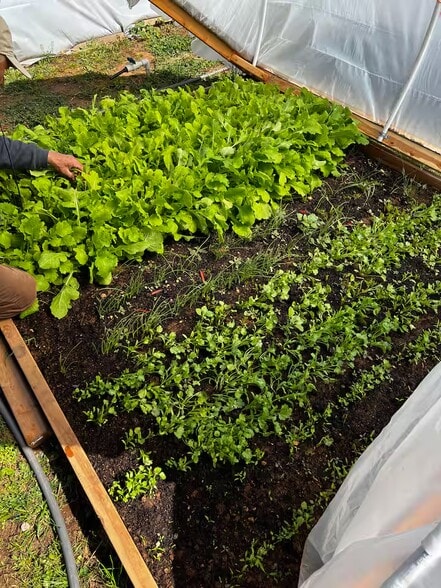 Building Photo - 9839 Trailhead Ct