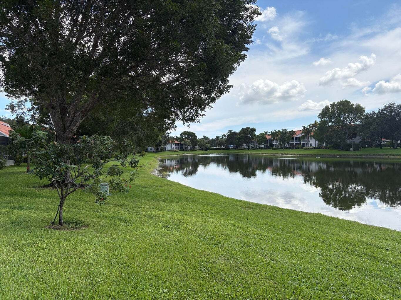 Building Photo - 7702 Majestic Palm Dr