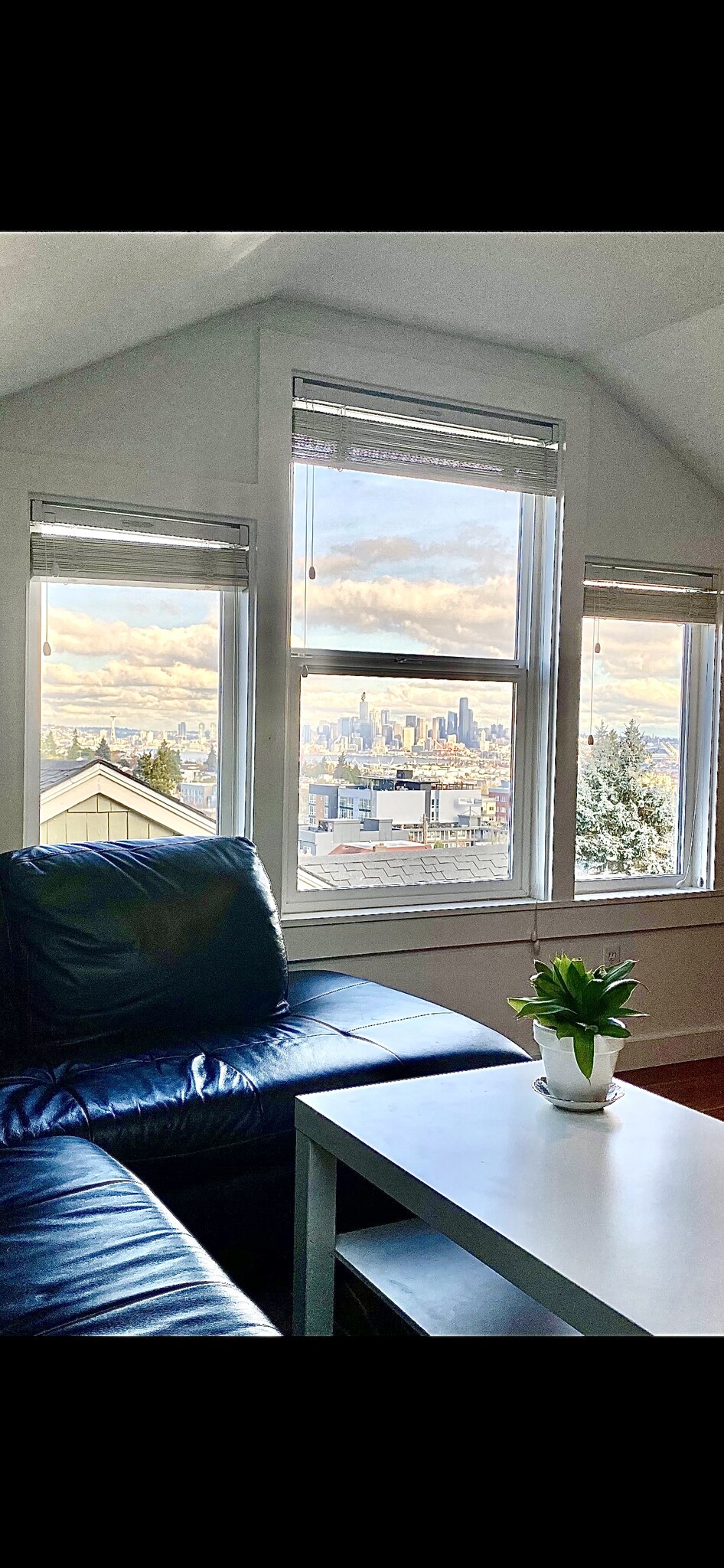 View from master loft - 4749 37th Ave SW