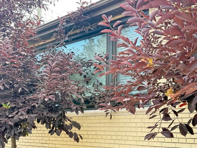 Primary Photo - 4201 W 55th St
