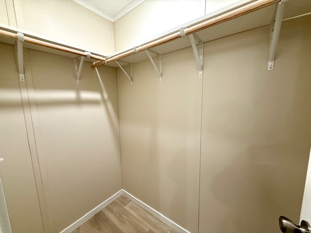 Building Photo - 15923 S Flores Rd