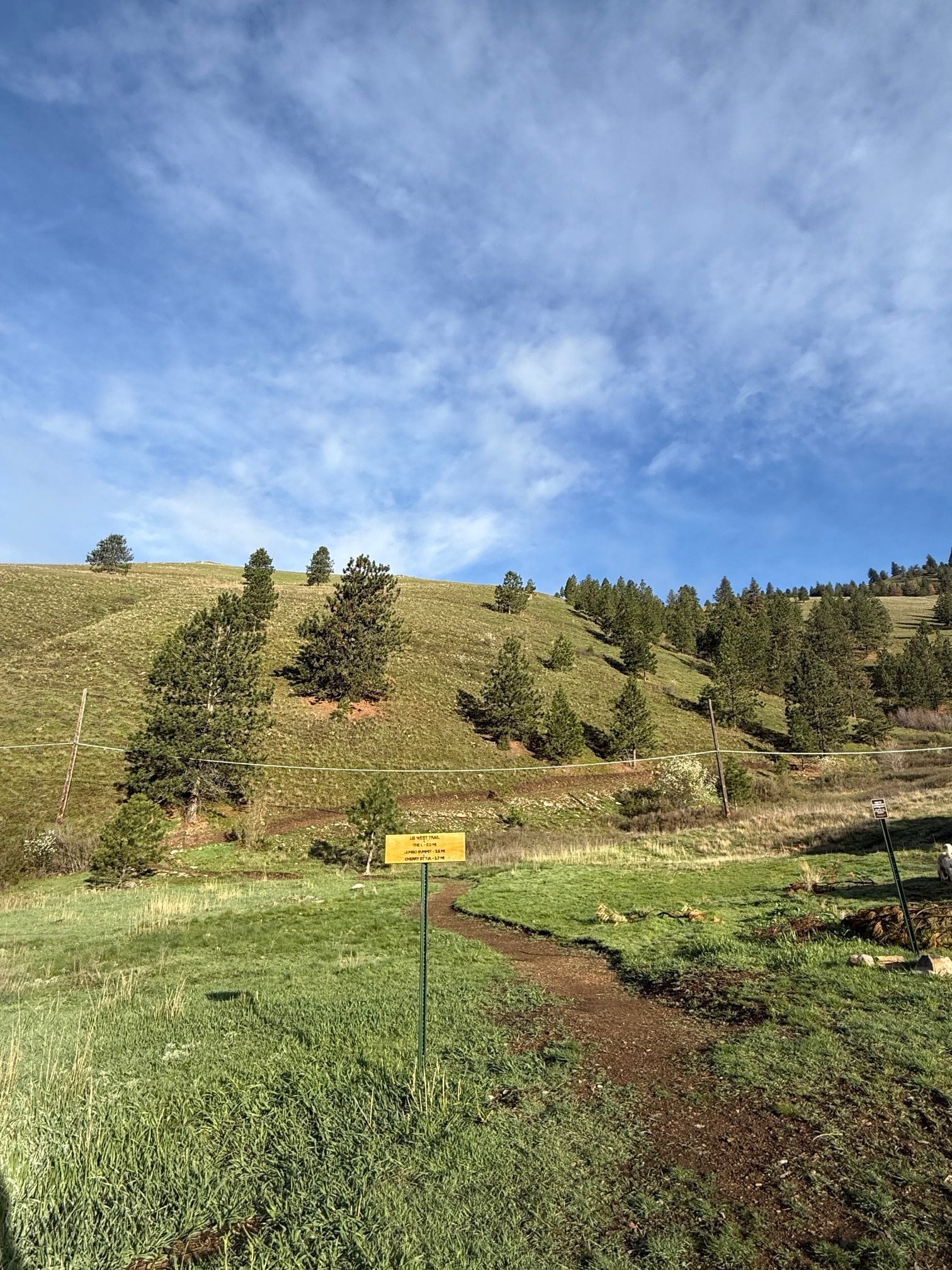 Building Photo - 648 Highton St
