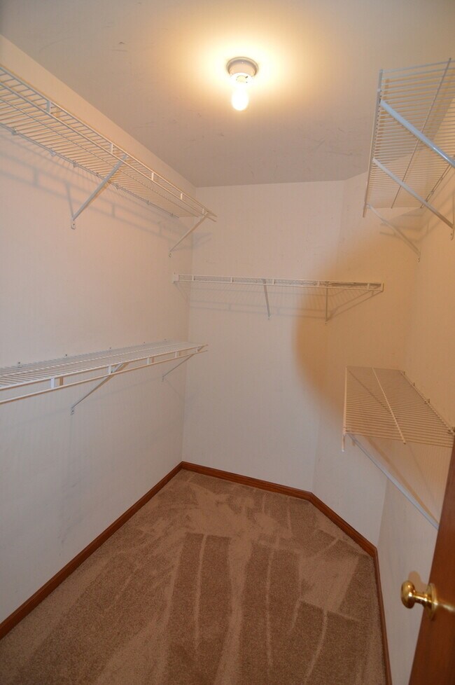 Building Photo - 206 Terra Firma Ln