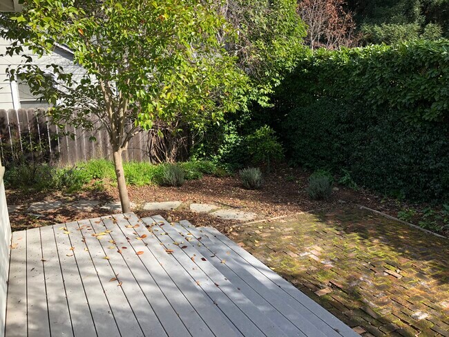 Back Yard - 820 Palo Alto Ave