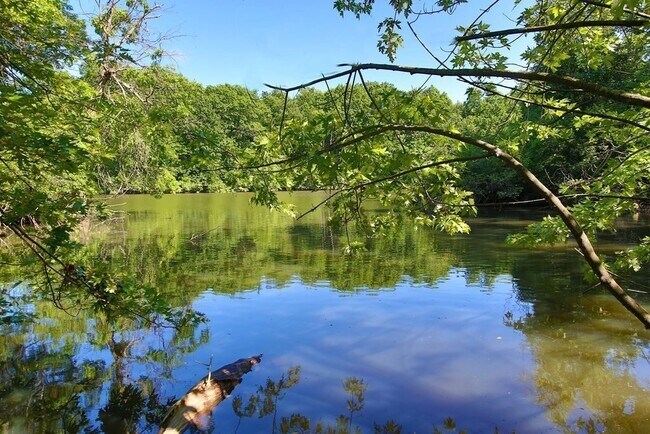 Building Photo - 33 Pond Ave