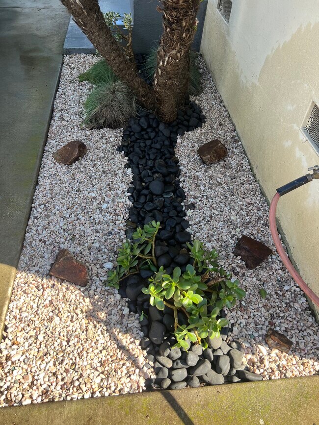 Planting at entry - 940 N Cedar St