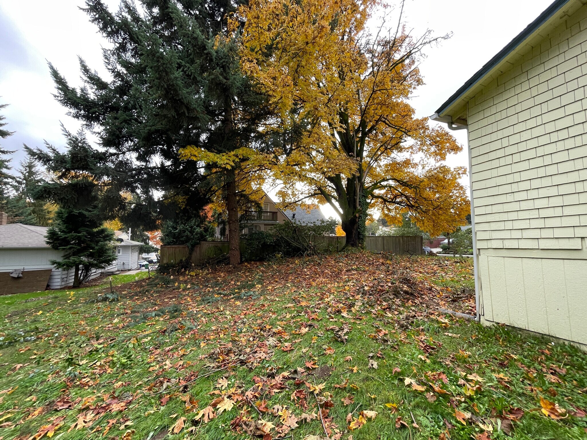 Building Photo - 15210 42nd Ave S