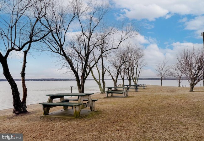 Building Photo - 35972 Washington Ave