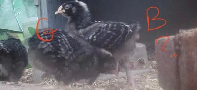 Building Photo - 33244 Churchill St