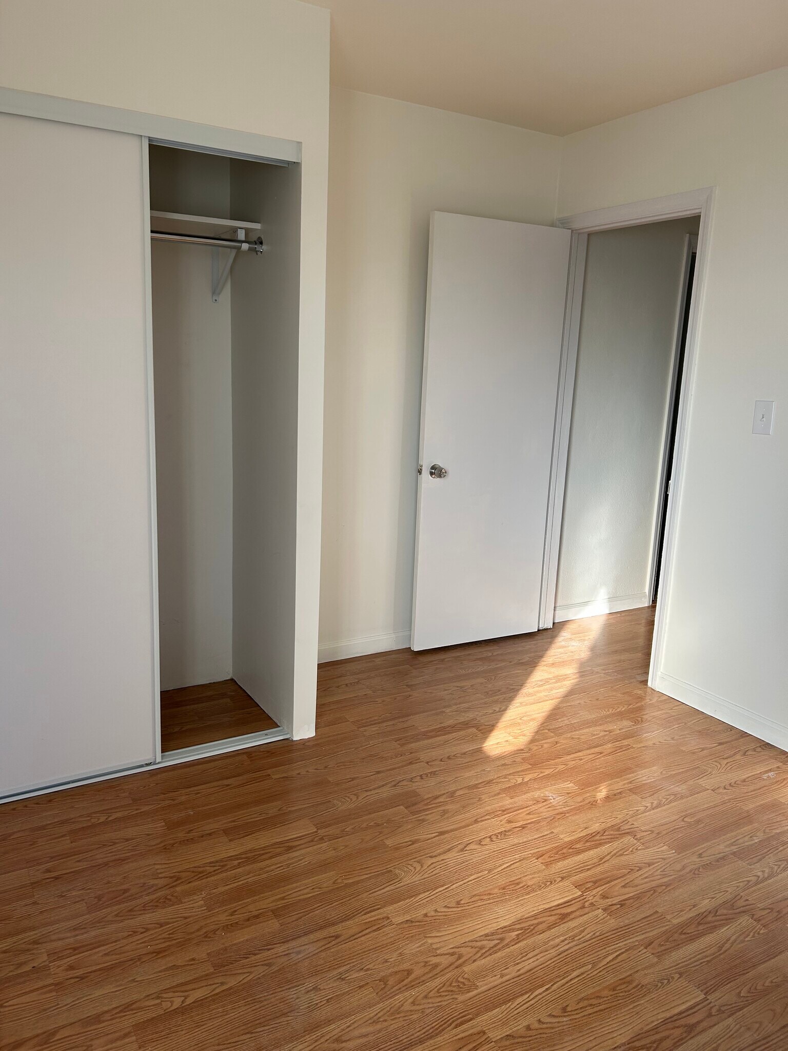 Brand new closet added to bedroom 2 - 225 E Fremont Sq