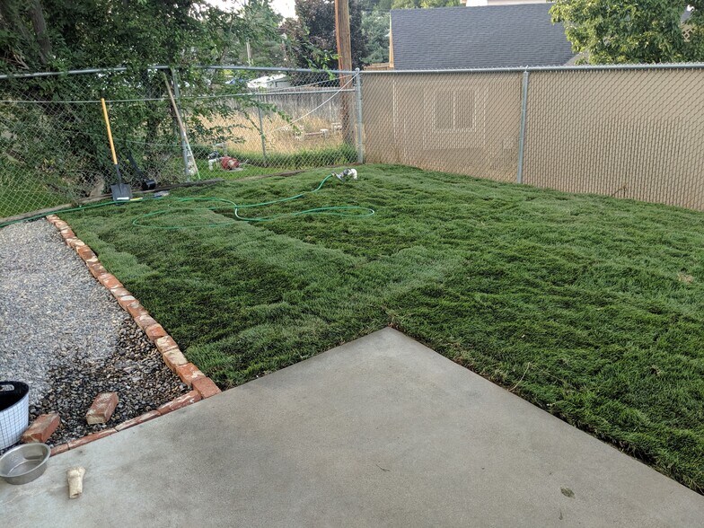 Back yard of the Property photo from the end of summer 2019. Easy maintenance, and a shaded patio, great for summer outdoor activities. Some of the grass in this area was damaged over the winter and is currently being reseeded. Landlord will maintain back yard until the grass is re established. - 2115 Pleasanton St