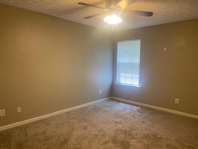 Building Photo - 128 Ilex Dr