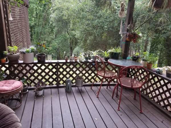 Building Photo - 1084 Fern Ave