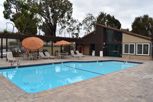 Building Photo - Studio Condo with Vaulted Ceilings in Serra Mesa